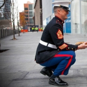 Perro que perdió una pierna mientras servía en Afganistán recibió una medalla