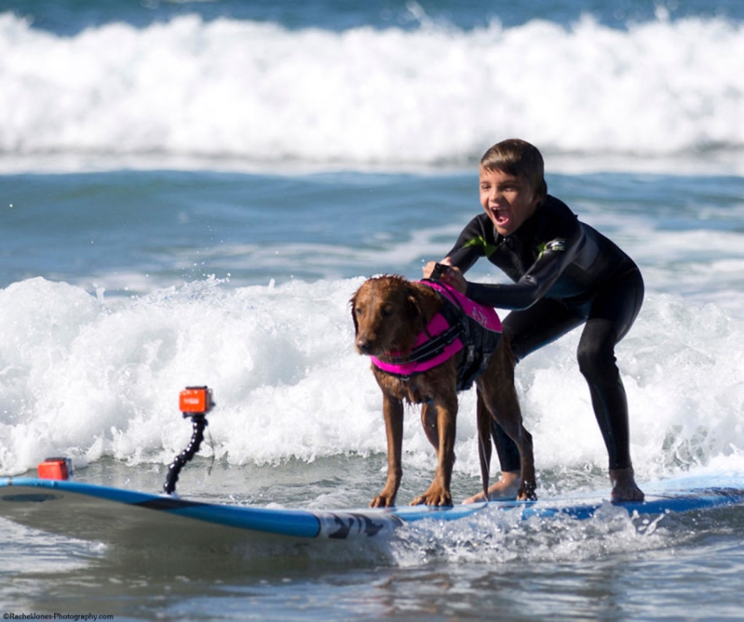 Perro Ricochet surfea con enfermos y los ayuda a recuperarse Perro Ricochet surfea con enfermos y los ayuda a recuperarse
