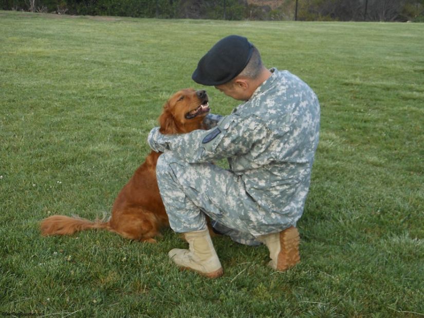 Perro Ricochet surfea con enfermos y los ayuda a recuperarse Perro Ricochet surfea con enfermos y los ayuda a recuperarse