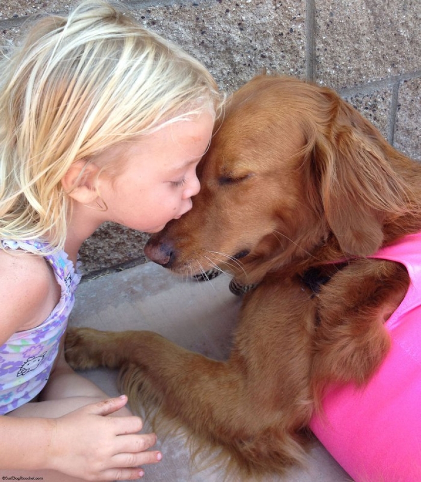 Perro Ricochet surfea con enfermos y los ayuda a recuperarse Perro Ricochet surfea con enfermos y los ayuda a recuperarse