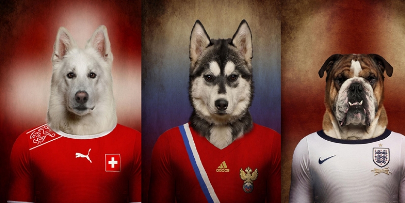 Perros vestidos con los uniformes de las selecciones nacionales del mundo. Perros vestidos con los uniformes de las selecciones nacionales del mundo.