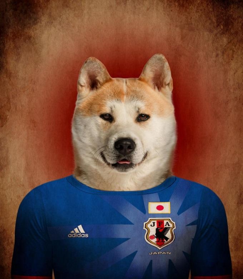 Perros vestidos con los uniformes de las selecciones nacionales del mundo. Perros vestidos con los uniformes de las selecciones nacionales del mundo.