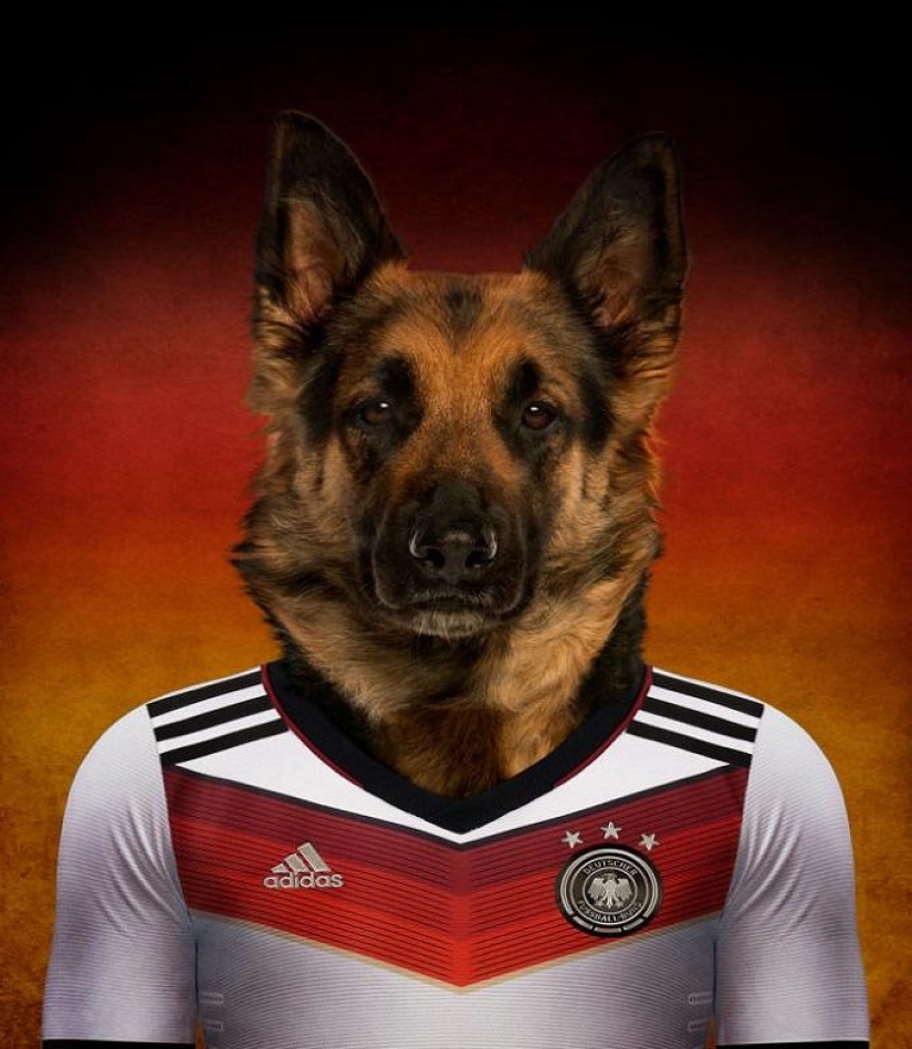 Perros vestidos con los uniformes de las selecciones nacionales del mundo. Perros vestidos con los uniformes de las selecciones nacionales del mundo.