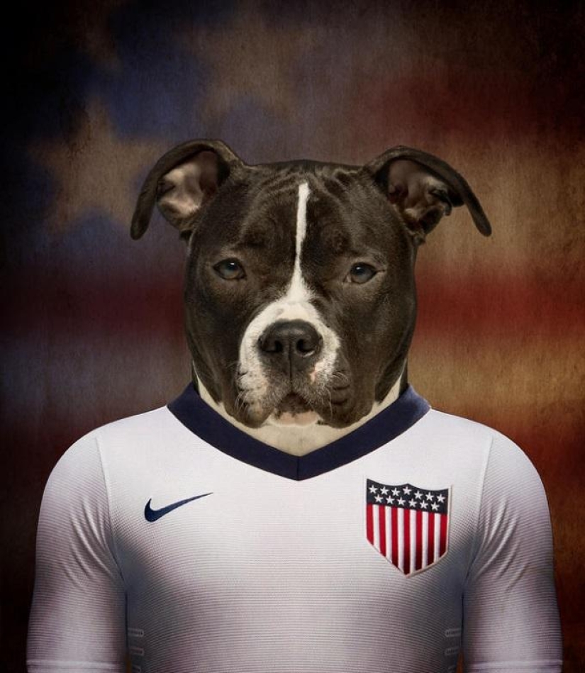 Perros vestidos con los uniformes de las selecciones nacionales del mundo. Perros vestidos con los uniformes de las selecciones nacionales del mundo.