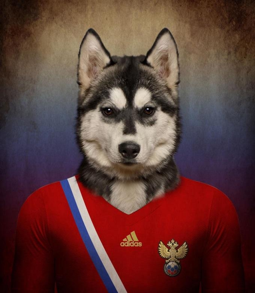 Perros vestidos con los uniformes de las selecciones nacionales del mundo. Perros vestidos con los uniformes de las selecciones nacionales del mundo.