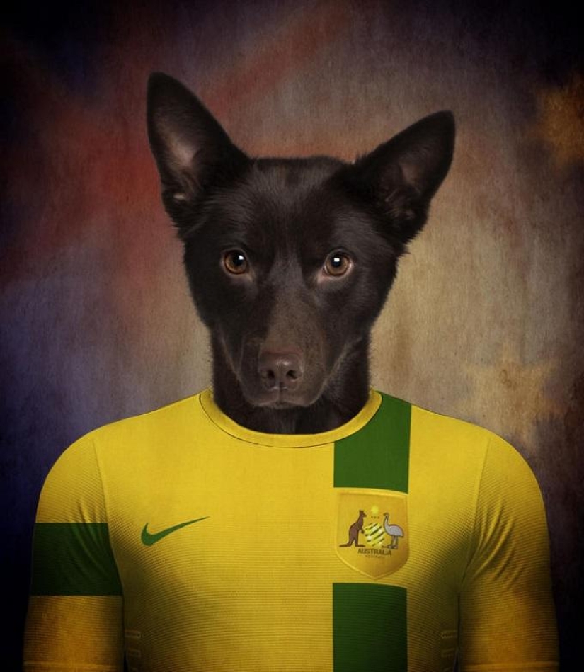 Perros vestidos con los uniformes de las selecciones nacionales del mundo. Perros vestidos con los uniformes de las selecciones nacionales del mundo.