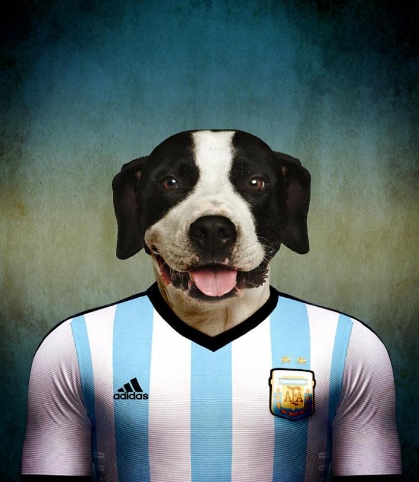 Perros vestidos con los uniformes de las selecciones nacionales del mundo. Perros vestidos con los uniformes de las selecciones nacionales del mundo.