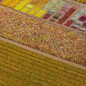 Perspectivas aéreas de Alex McLean