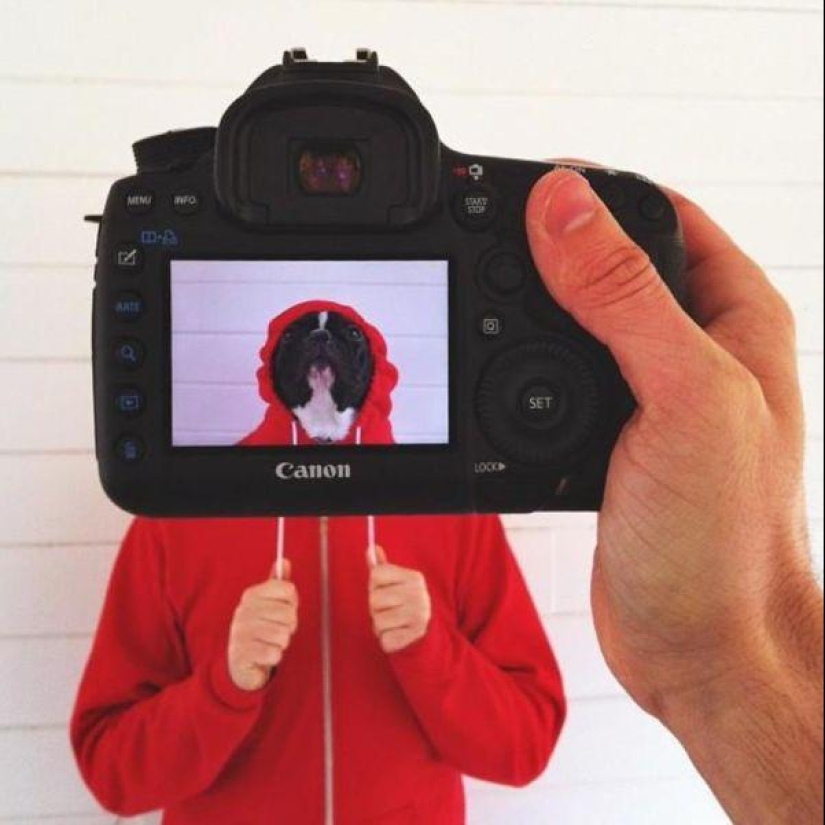 Pet owners and their pets in a quirky photo project #petheadz