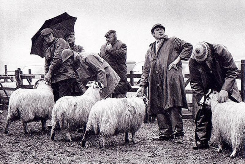 Photo from the rare edition of Ian Berry "The English" Photo from the rare edition of Ian Berry "The English"