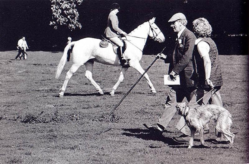 Photo from the rare edition of Ian Berry "The English" Photo from the rare edition of Ian Berry "The English"