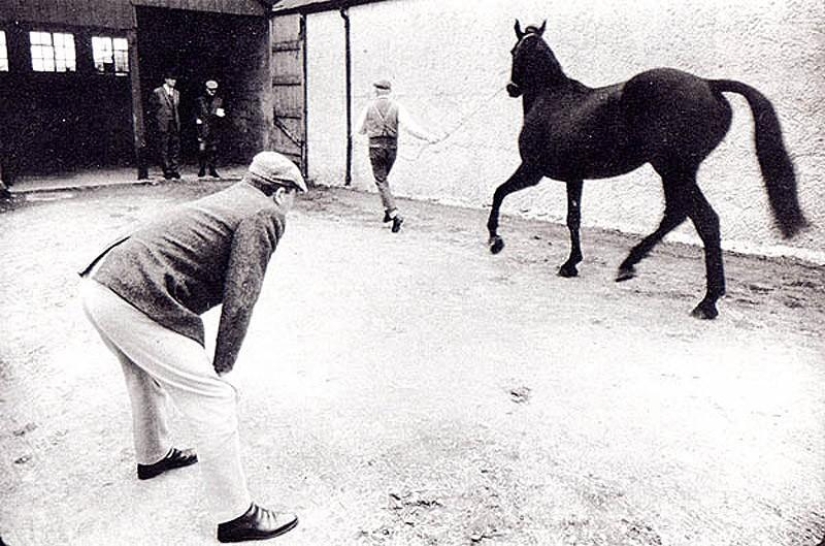 Photo from the rare edition of Ian Berry "The English" Photo from the rare edition of Ian Berry "The English"