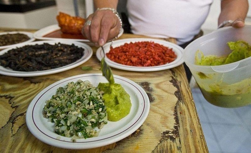 Photo guide to edible insects Photo guide to edible insects