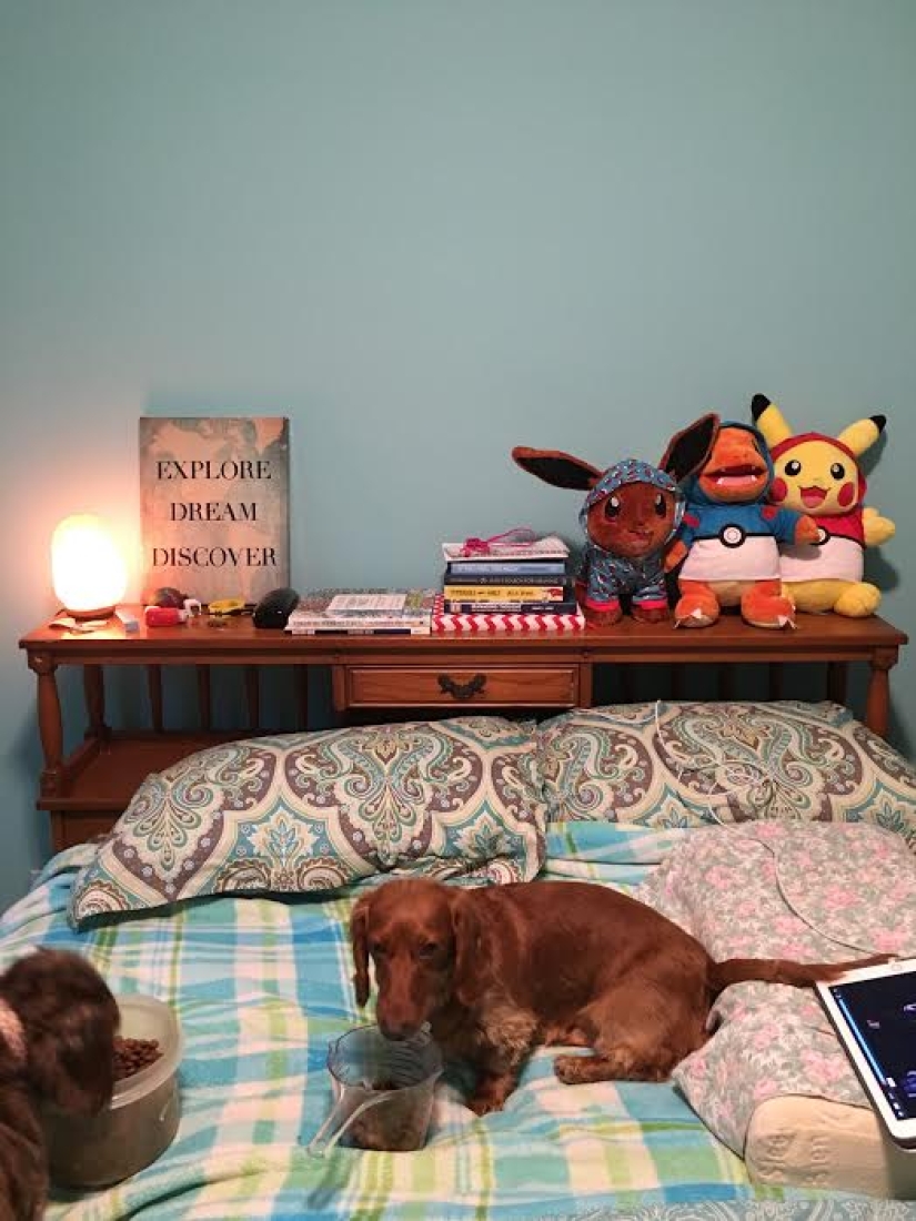 Photo project: what the bedside tables of chronic patients tell about Photo project: what the bedside tables of chronic patients tell about