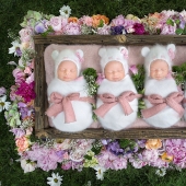 Photo shoot of very rare and absolutely identical quadruplets