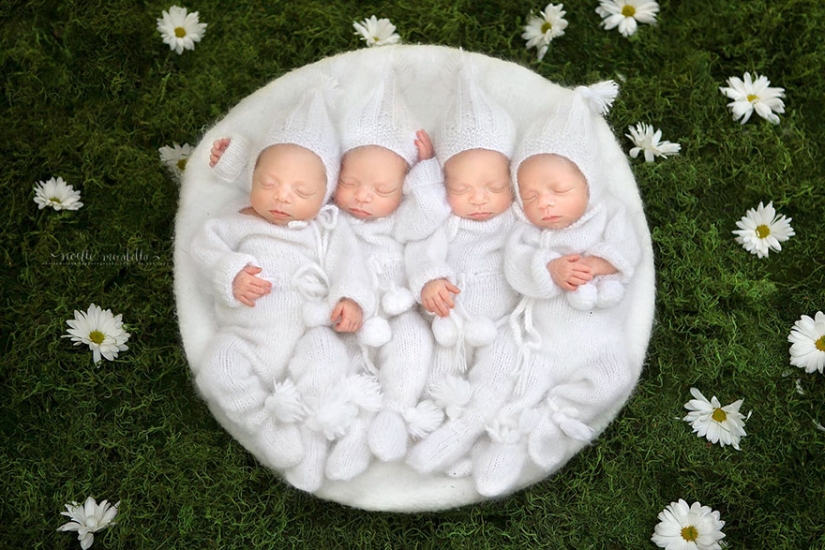 Photo shoot of very rare and absolutely identical quadruplets Photo shoot of very rare and absolutely identical quadruplets