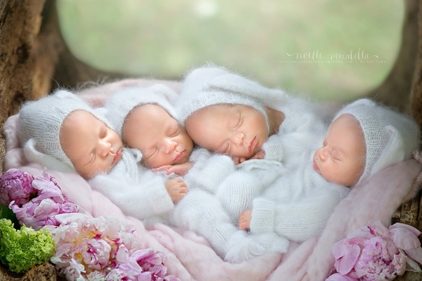 Photo shoot of very rare and absolutely identical quadruplets Photo shoot of very rare and absolutely identical quadruplets