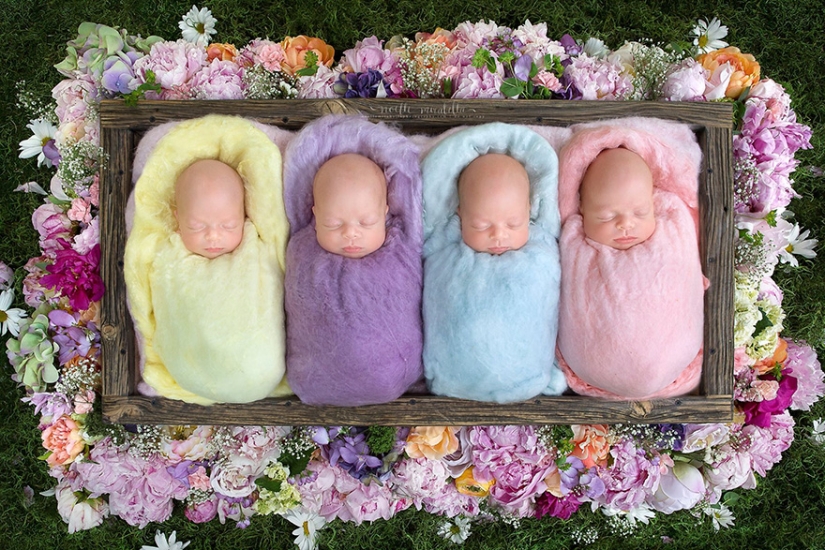 Photo shoot of very rare and absolutely identical quadruplets Photo shoot of very rare and absolutely identical quadruplets