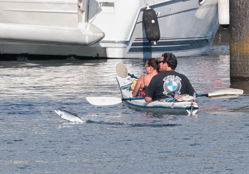 Photobombs and photobombs