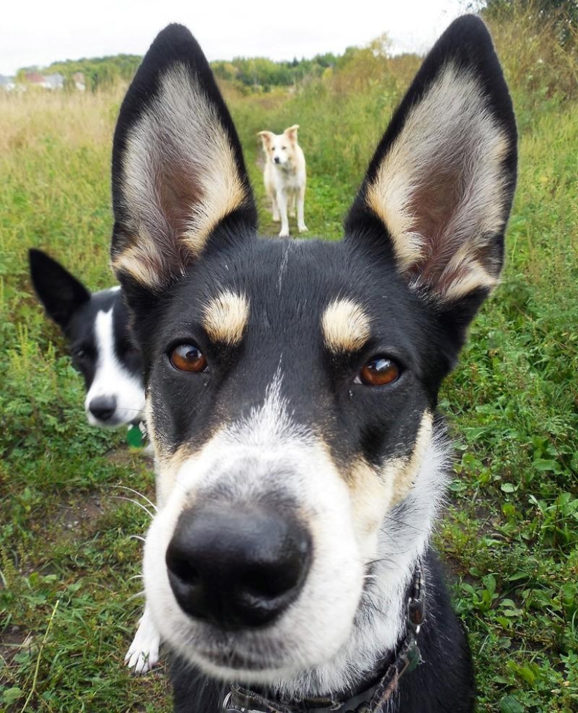 Photobombs and photobombs