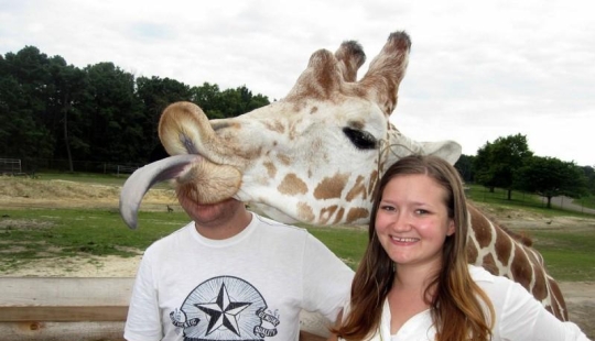 Photobombs and photobombs