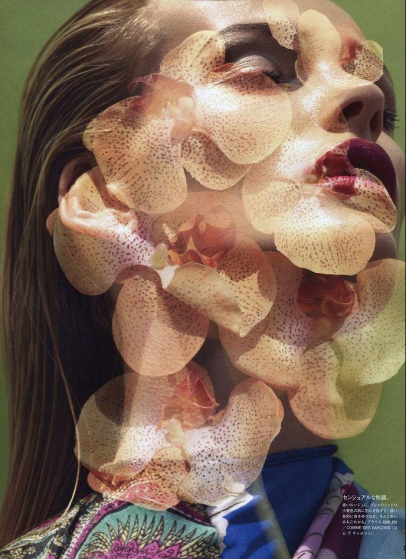 Photograph by Solve Sundsbo