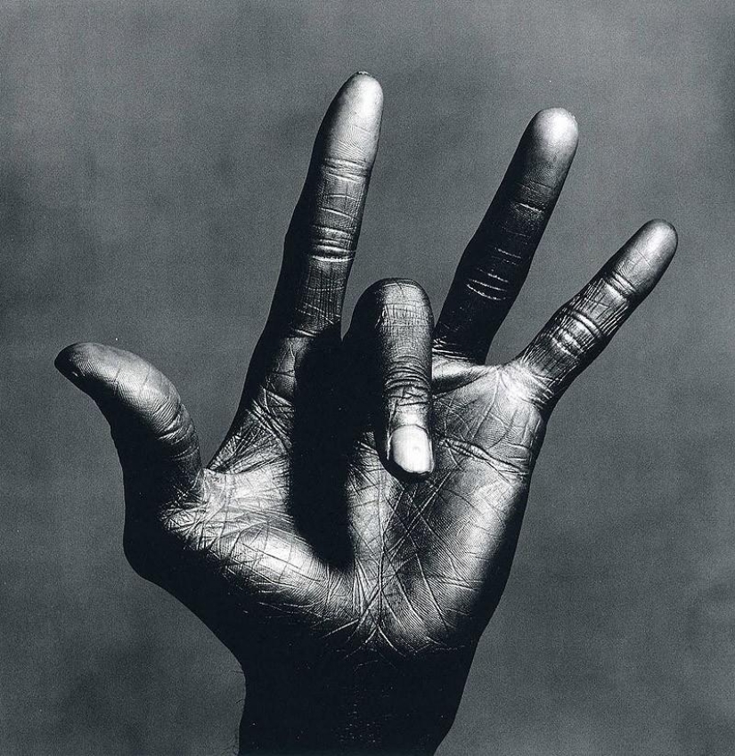Photographer-artist Irving Penn