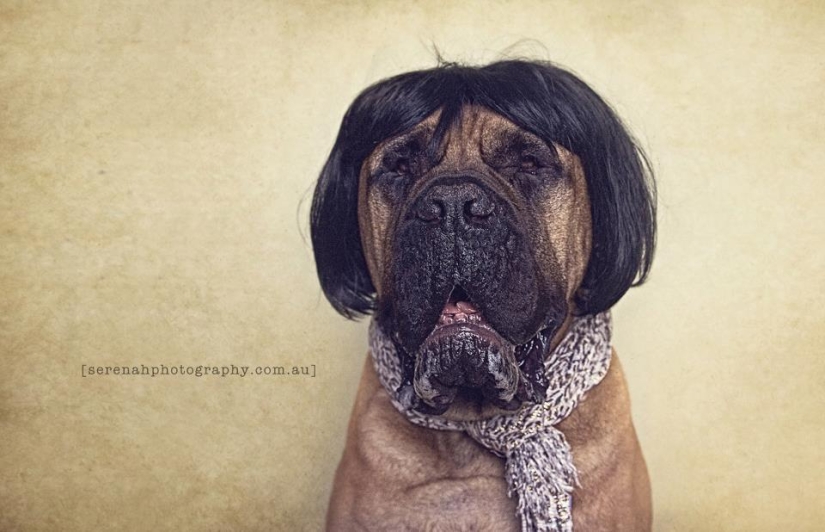 Photographer Serena Hodson and her four-legged friends