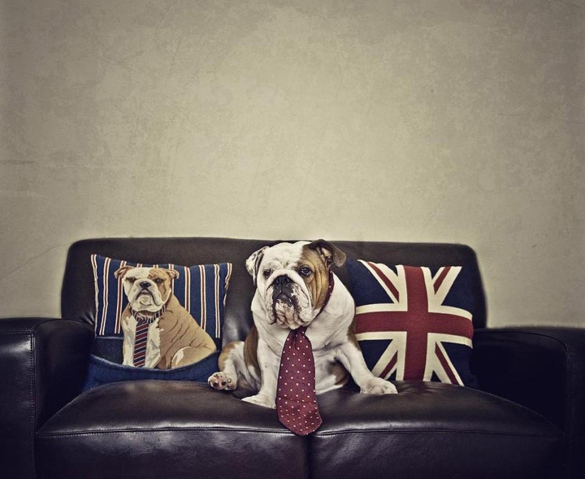 Photographer Serena Hodson and her four-legged friends