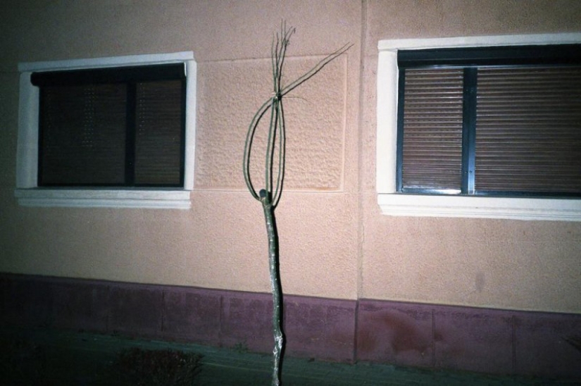 Photographer shows how his hometown in Transylvania is dying Photographer shows how his hometown in Transylvania is dying