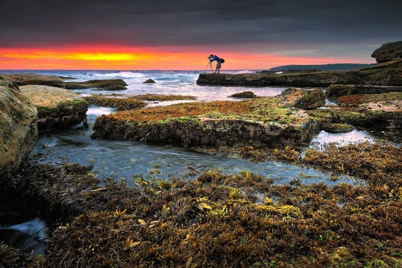 Photographers at work