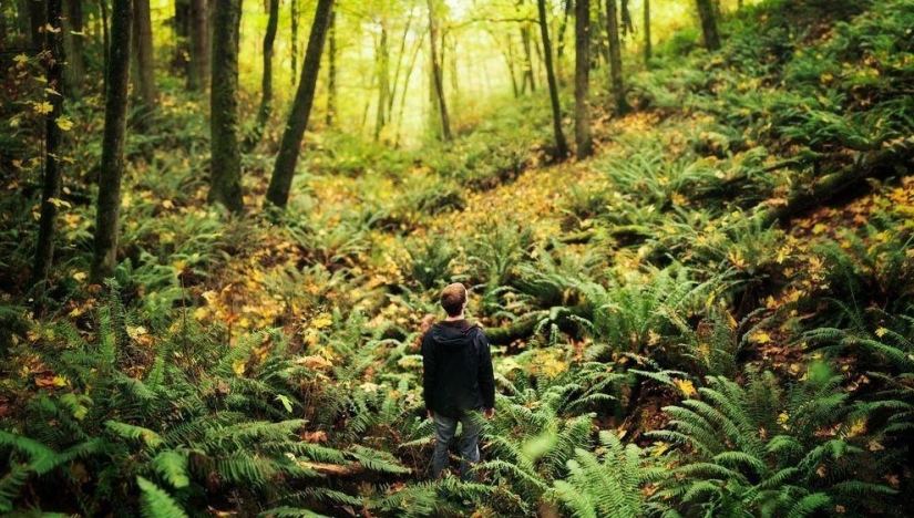 Photographers share their best shot Photographers share their best shot