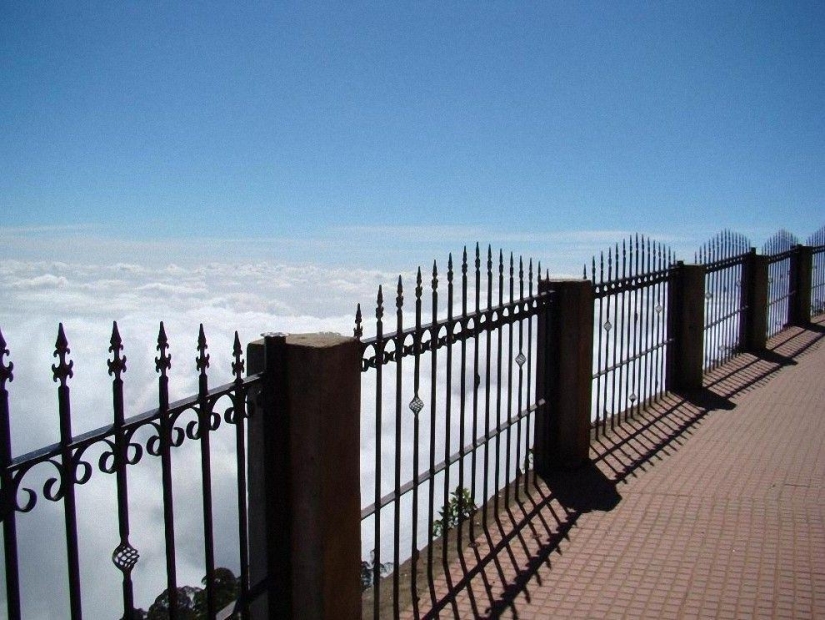 Photographers share their best shot Photographers share their best shot