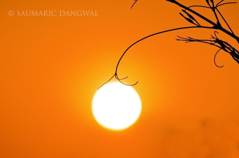 Photographers share their best shot Photographers share their best shot