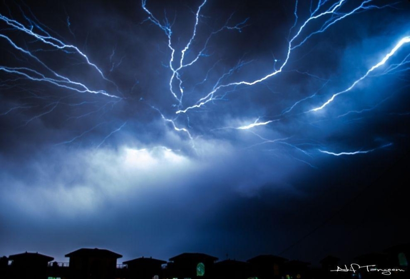 Photographers share their best shot Photographers share their best shot