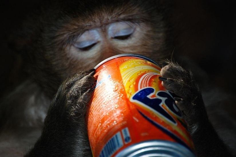 Photographers share their best shot Photographers share their best shot