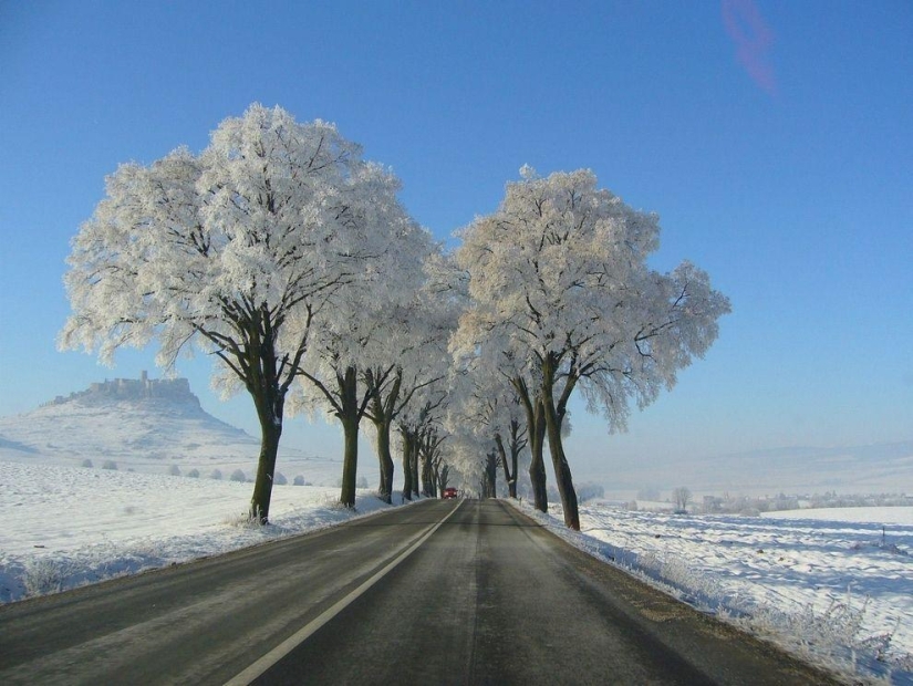 Photographers share their best shot Photographers share their best shot