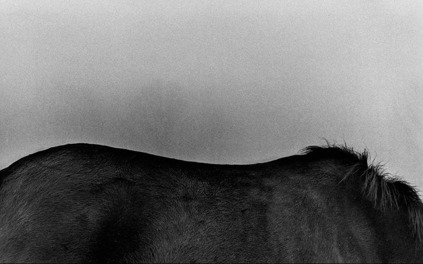 Photography classic: Harold Feinstein