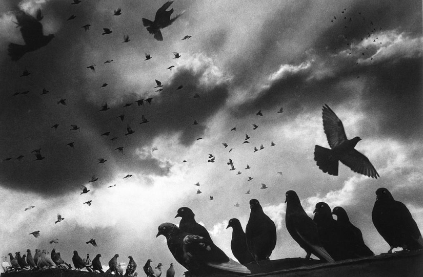 Photography classic: Harold Feinstein