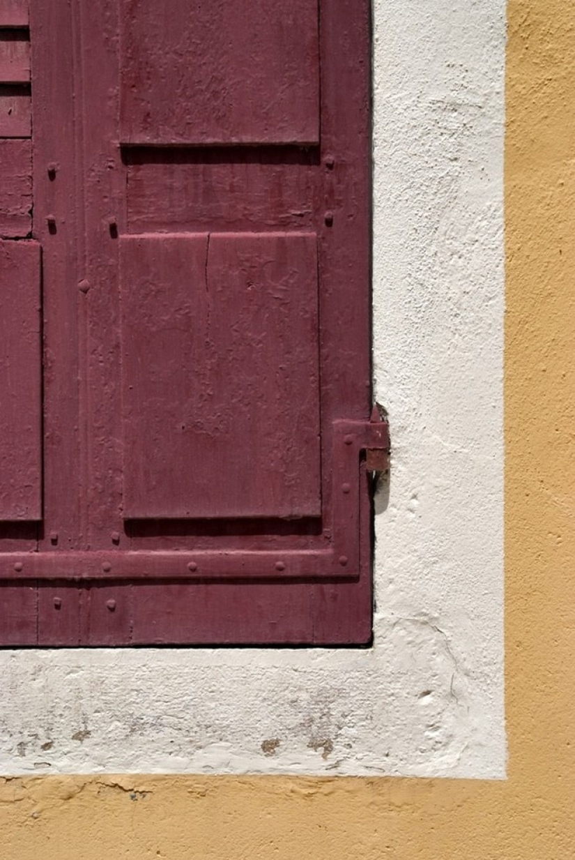 Photos in trendy colors for the fall 2015 season according to a report by the Pantone Institute