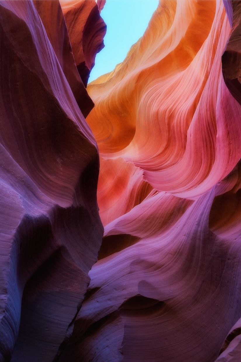 Photos in trendy colors for the fall 2015 season according to a report by the Pantone Institute