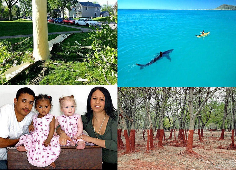 Photos that "blew up" the Internet