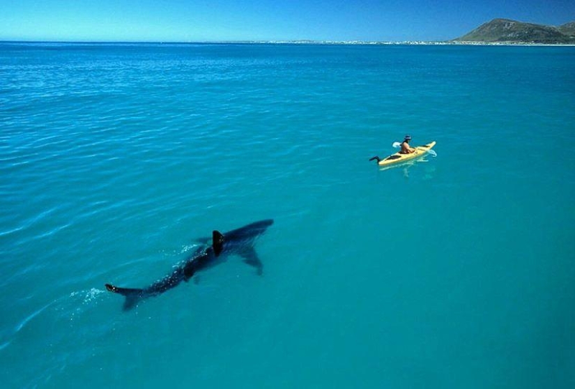 Photos that "blew up" the Internet