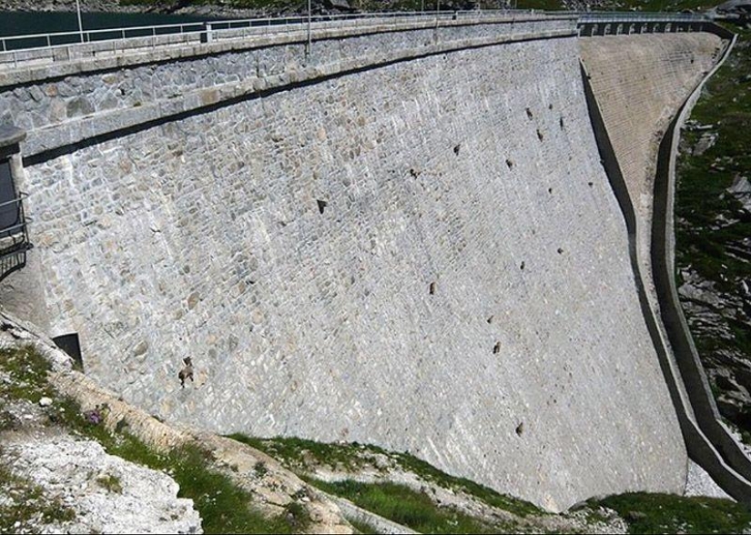 Photos that "blew up" the Internet