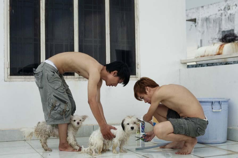 Pink Project - a series about Vietnamese same-sex couples