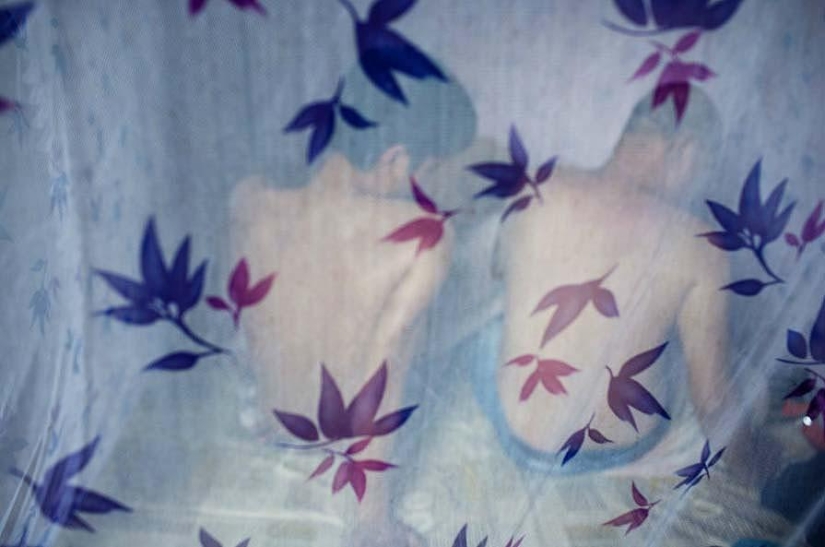 Pink Project: una serie sobre parejas vietnamitas del mismo sexo Pink Project: una serie sobre parejas vietnamitas del mismo sexo