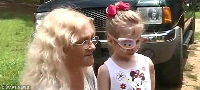 Pitbull mutiló a niña de 3 años y la echaron de restaurante por su apariencia Pitbull mutiló a niña de 3 años y la echaron de restaurante por su apariencia