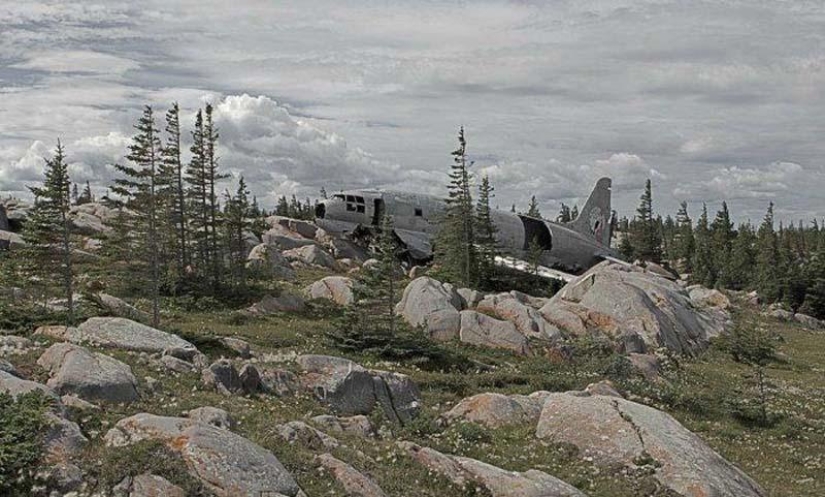 Plane crashes with a happy ending