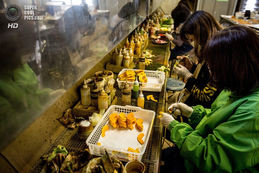 Platos de vinilo: Incomestibles, pero hermosos