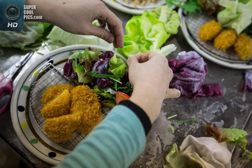 Platos de vinilo: Incomestibles, pero hermosos